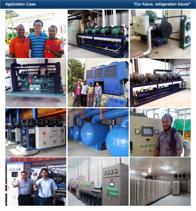 Danfoss Refrigeration Compressor Unit , Small Cold Storage Refrigeration Condensing Unit