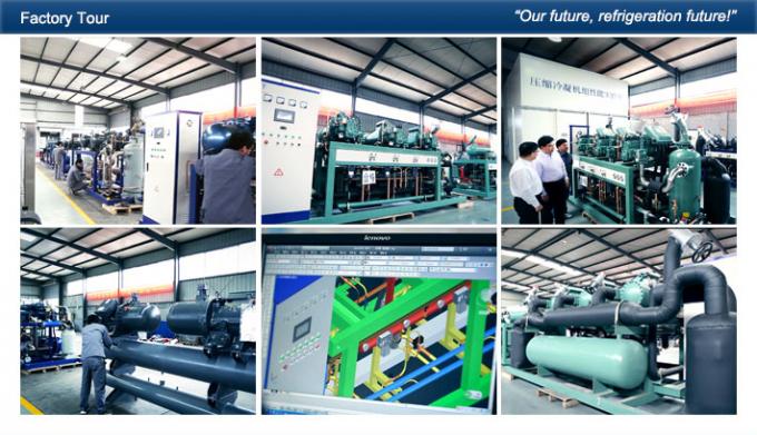 Danfoss Refrigeration Compressor Unit , Small Cold Storage Refrigeration Condensing Unit