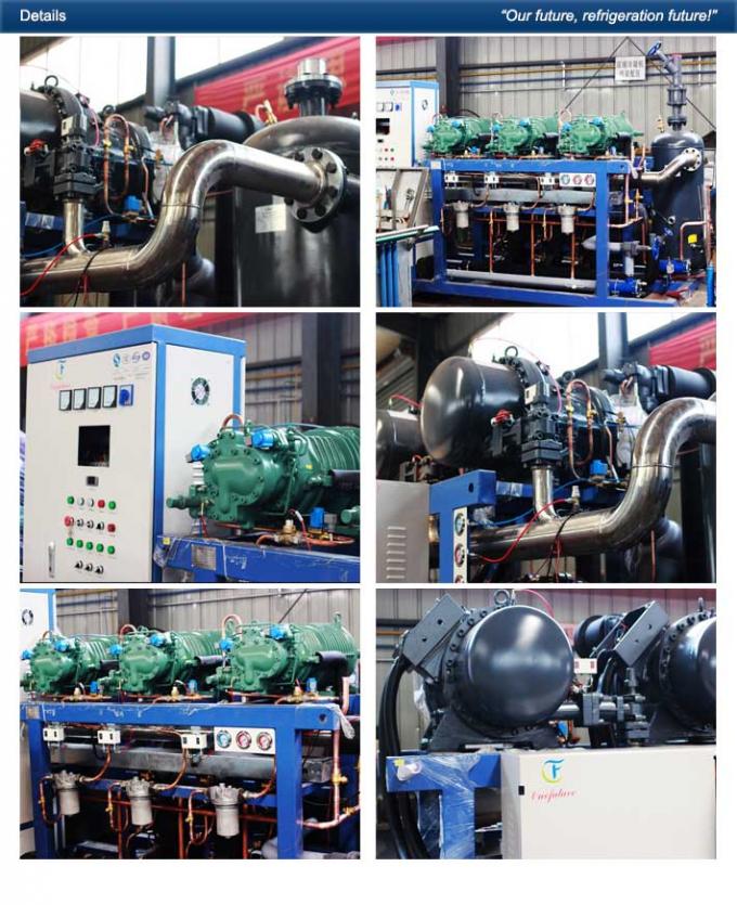Fruit Fast Cooling R404a Cold Room Condensing Unit Screw 415V/3P/50Hz