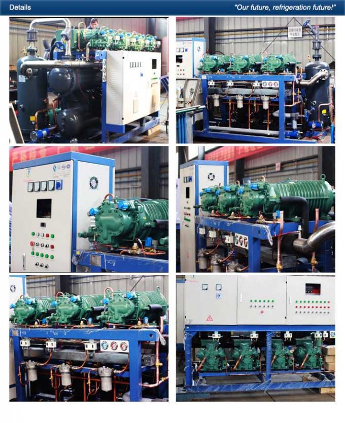 R404a Air Cooled Screw Chiller Tuna Fish -50 Centigrade Cooling