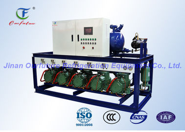 Garlic Cold Storage  Condensing Unit , Cold Room Compressor Unit