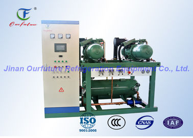  High Temperature Parallel Screw Compressor Unit For Blast Freezer