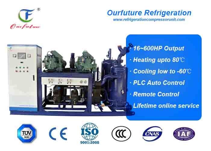R404a Bitzer Brand Screw Type Parallel Compressor Racks For Fruit Processing